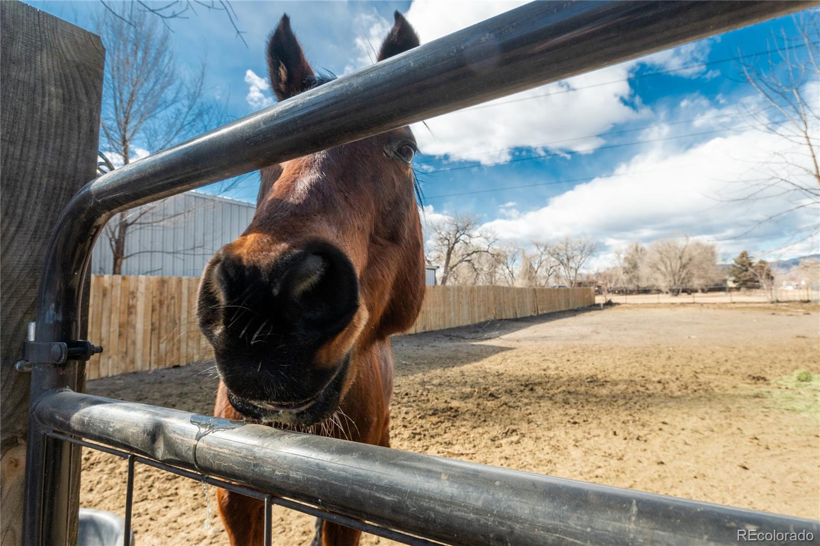 4695 Parfet Street Wheat Ridge, CO 80033 - Photo 42 of 46 a view of roof with wooden floor
