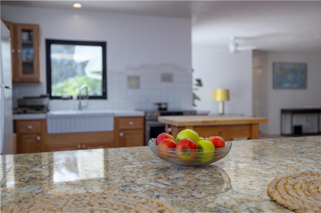 4790 Michael Lane Ponce Inlet, FL 32127 - Photo 10 of 28 a kitchen with stainless steel appliances granite countertop a sink and a wooden cabinets
