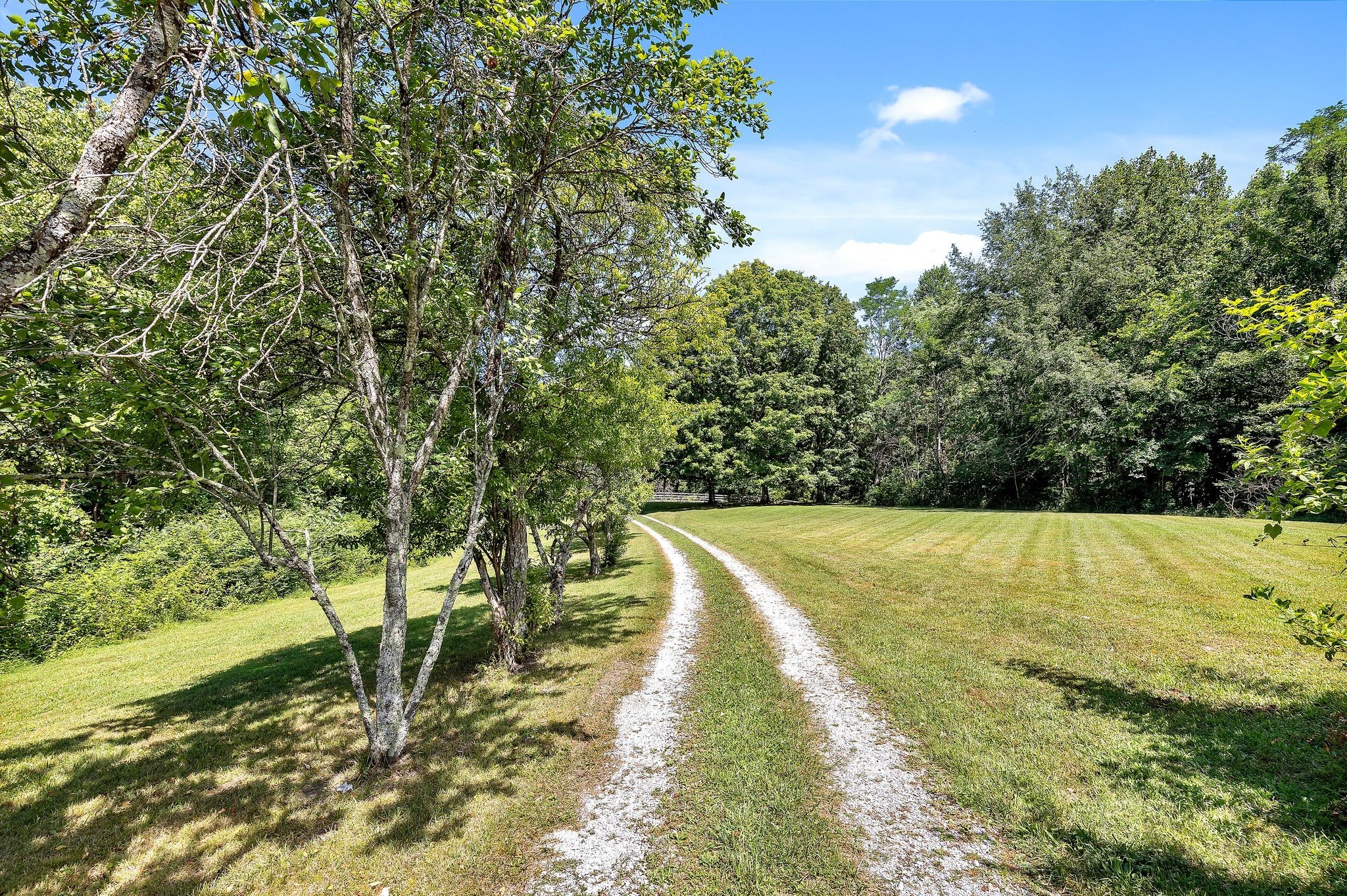 5550 Hargrove Ridge Road Franklin, TN 37064 - Photo 51 of 58