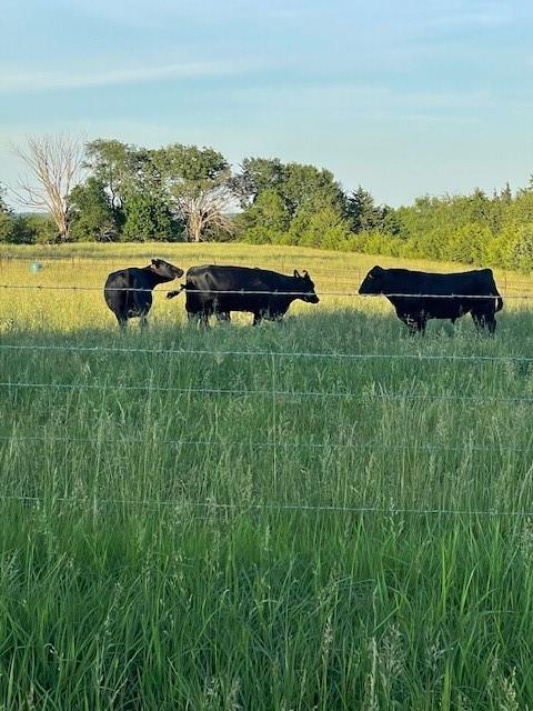 343-rd Northeast Harmony Road Paola, KS 66071 - Photo 6 of 23