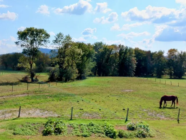 $479,000 | 900 Pearl Street, Brandon, VT 05733