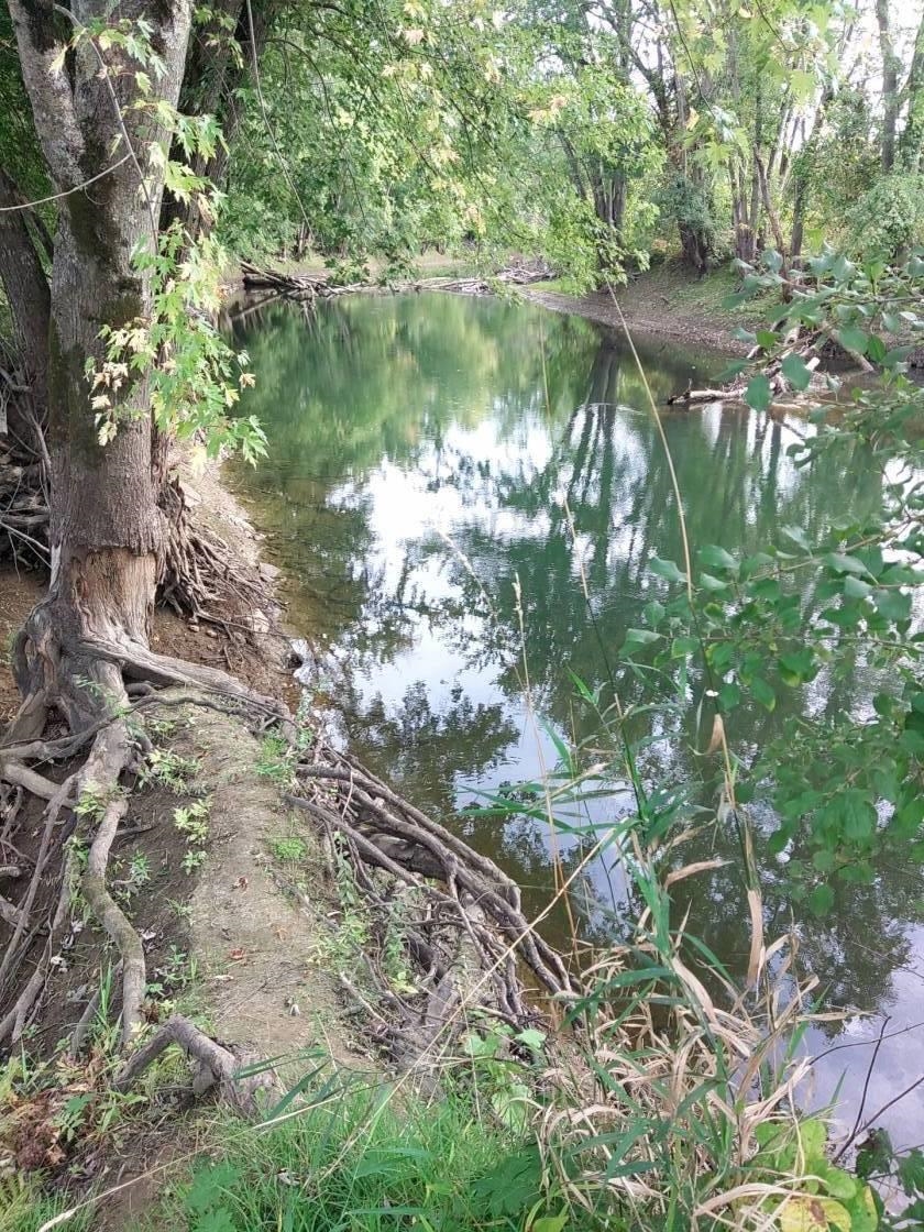 900 Pearl Street Brandon, VT 05733 - Photo 27 of 27