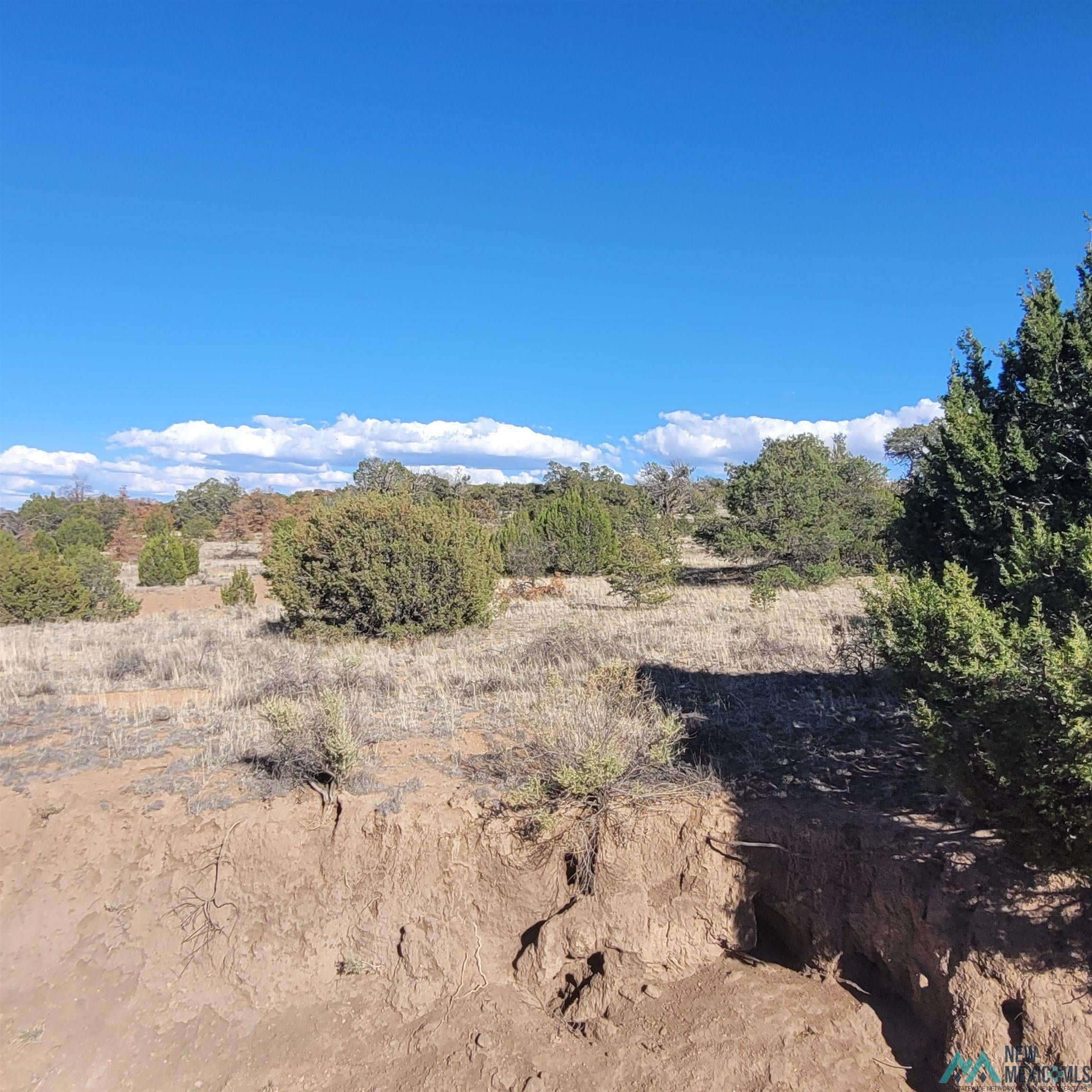 90 Lots 90 And 91 Canyon Drive Datil, NM 87821 - Photo 17 of 26 Gallery Image 17