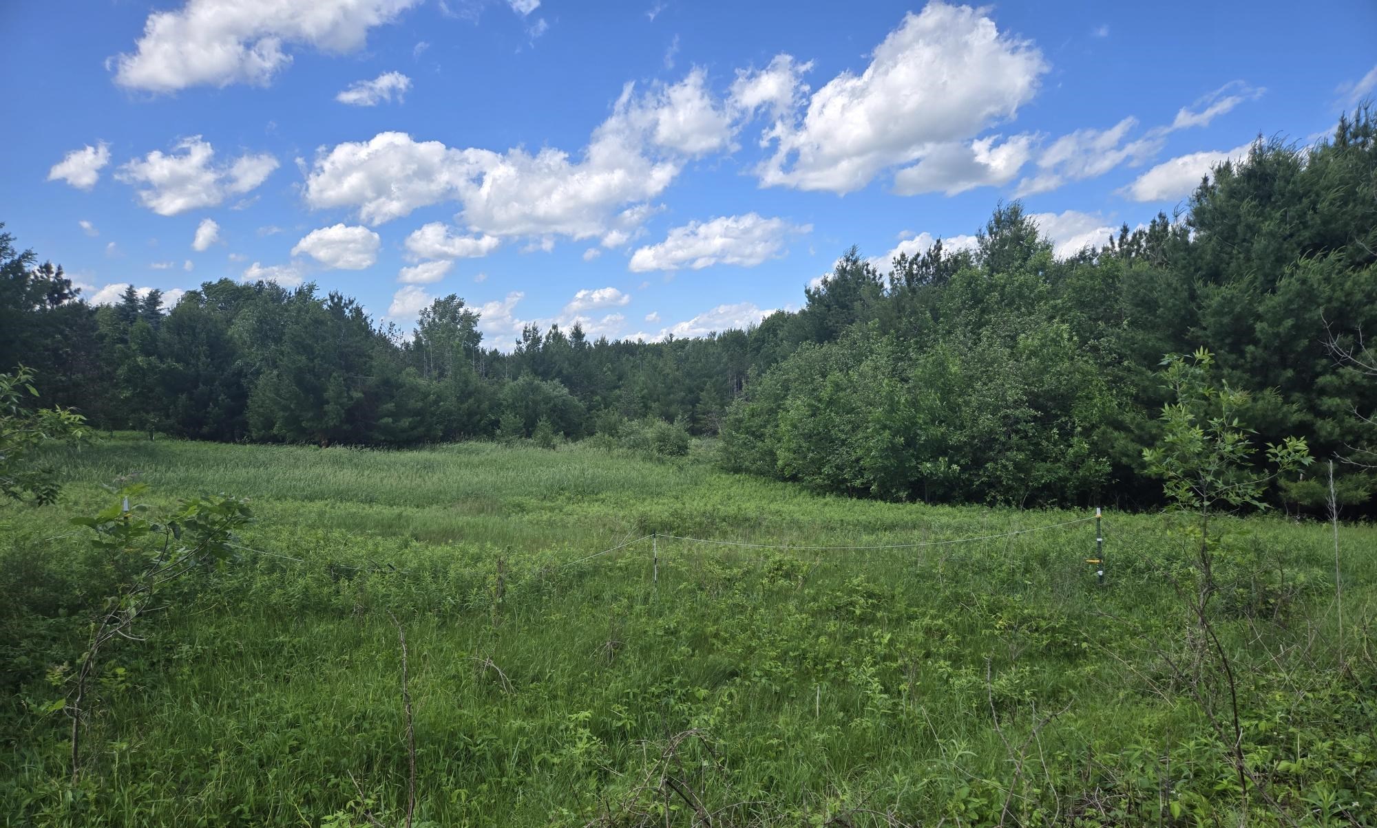 402 Granite Ridge Road Stevens Point, WI 54481 - Photo 53 of 60 Gallery Image 53