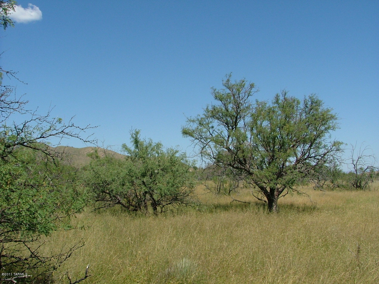 West Bryant Road Pearce, AZ 85625 - Photo 11 of 14