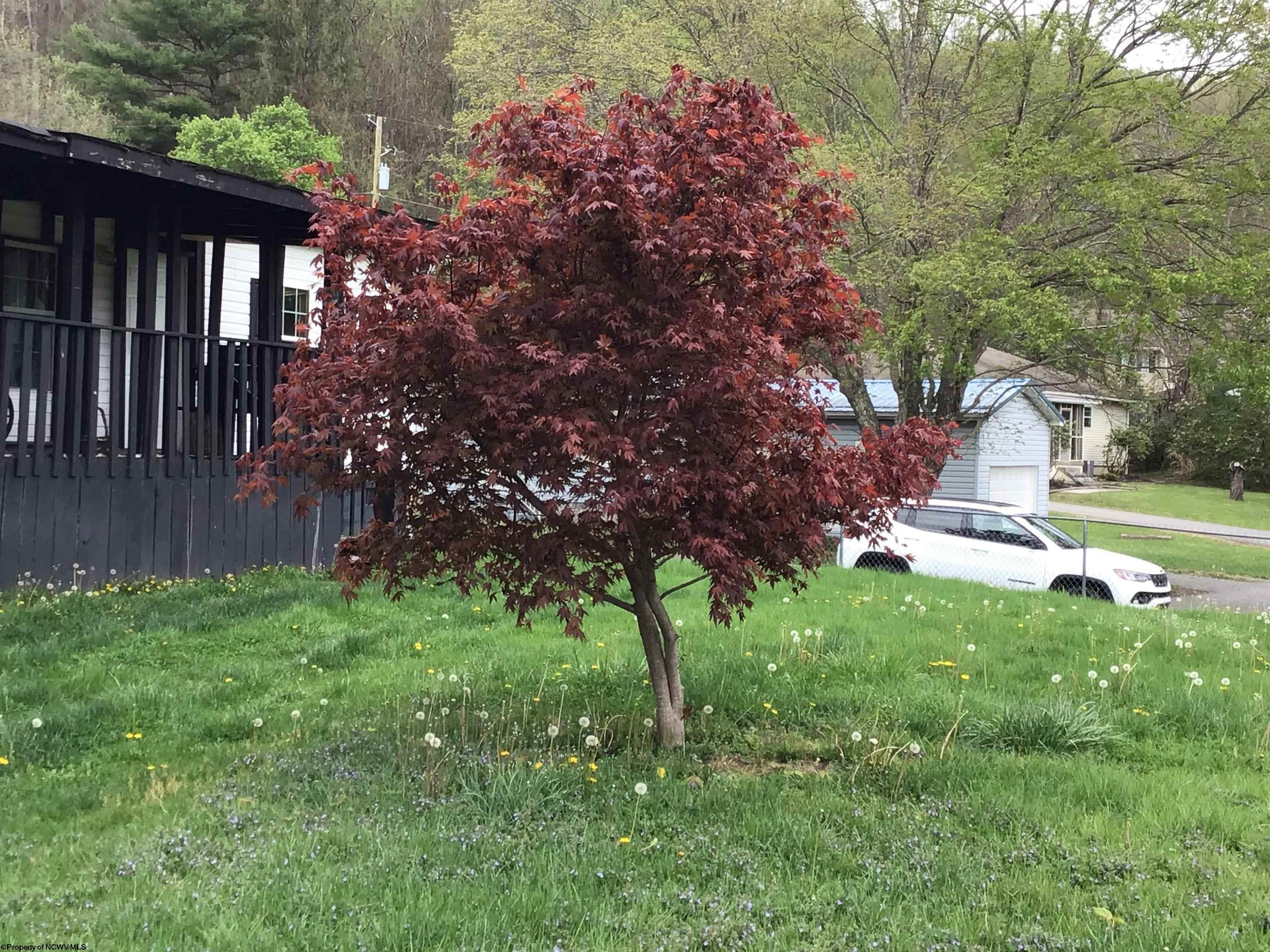 407 Gall Street Philippi, WV 26416 - Photo 7 of 36 Gallery Image 7