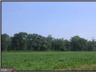 B Hedding Road Columbus, NJ 08022 - Photo 3 of 6