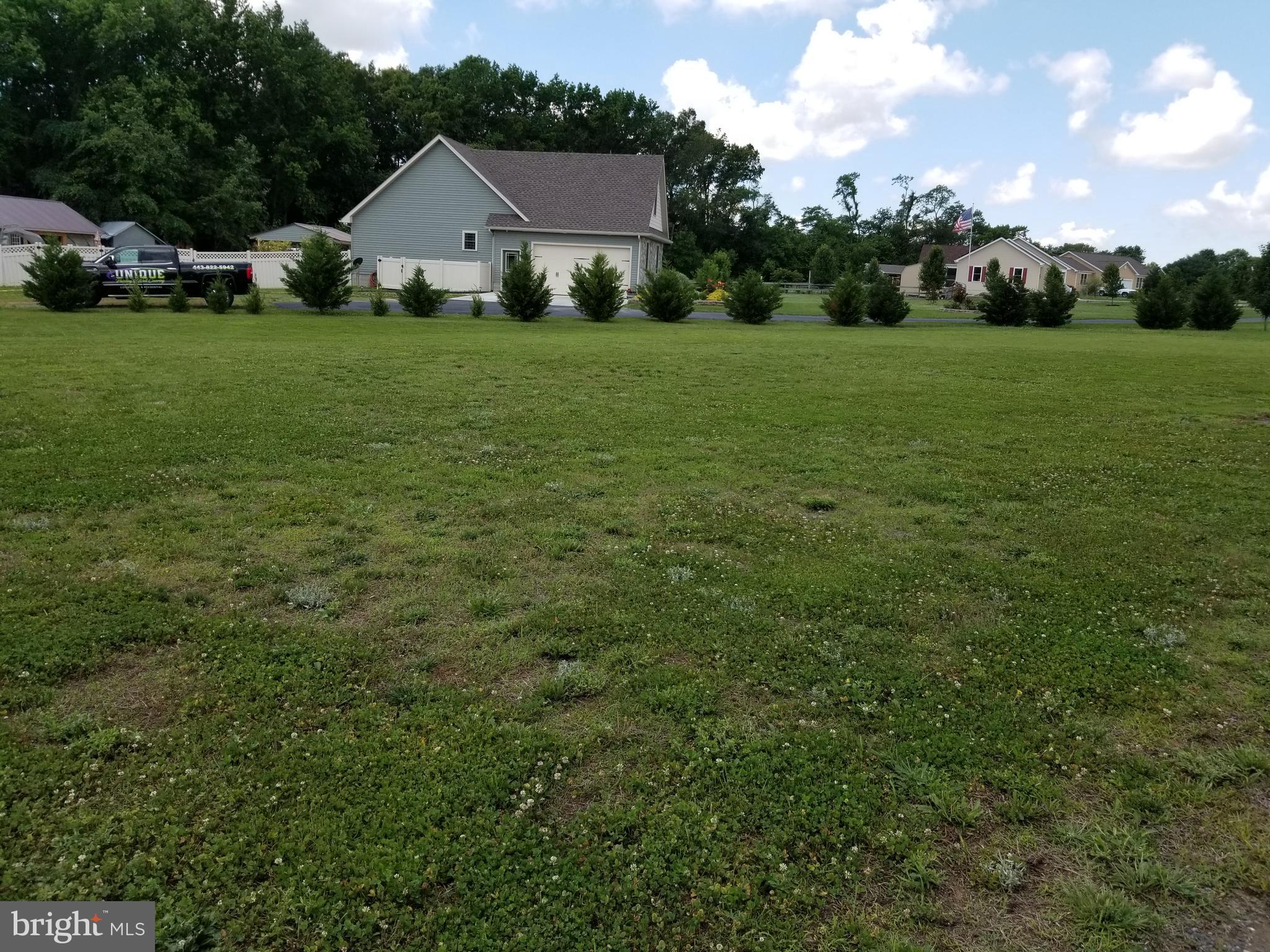 24925 Branfields Drive Ridgely, MD 21660 - Photo 21 of 23 Backyard