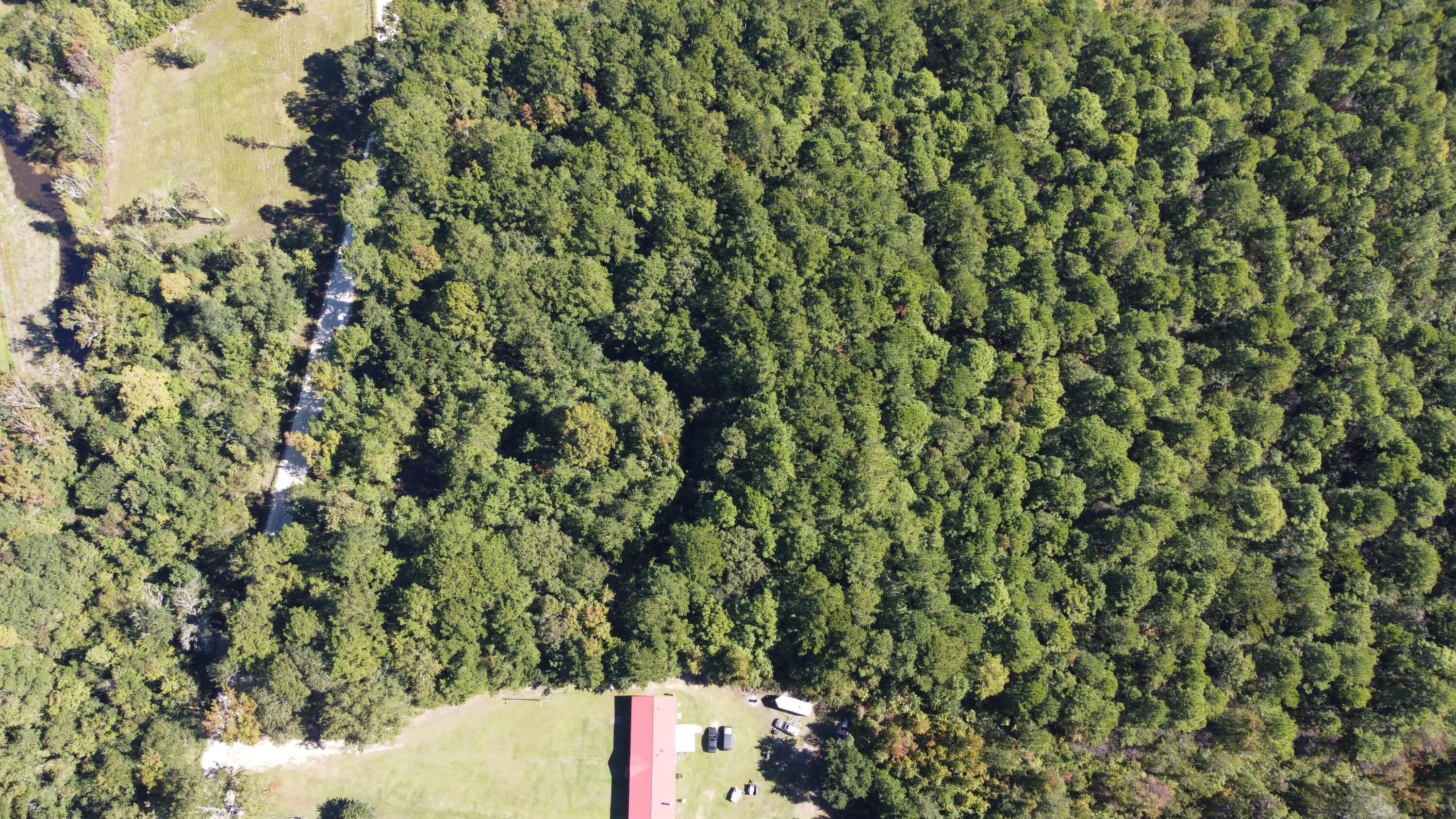 DJI_0937 (1)