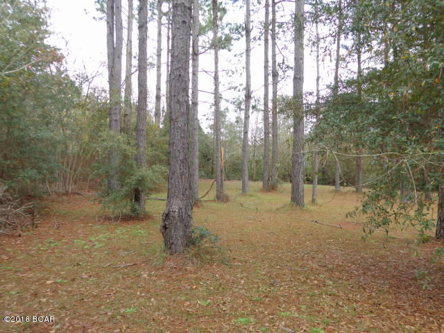 3085 Russ Road Marianna, FL 32446 - Photo 8 of 51 Gallery Image 8