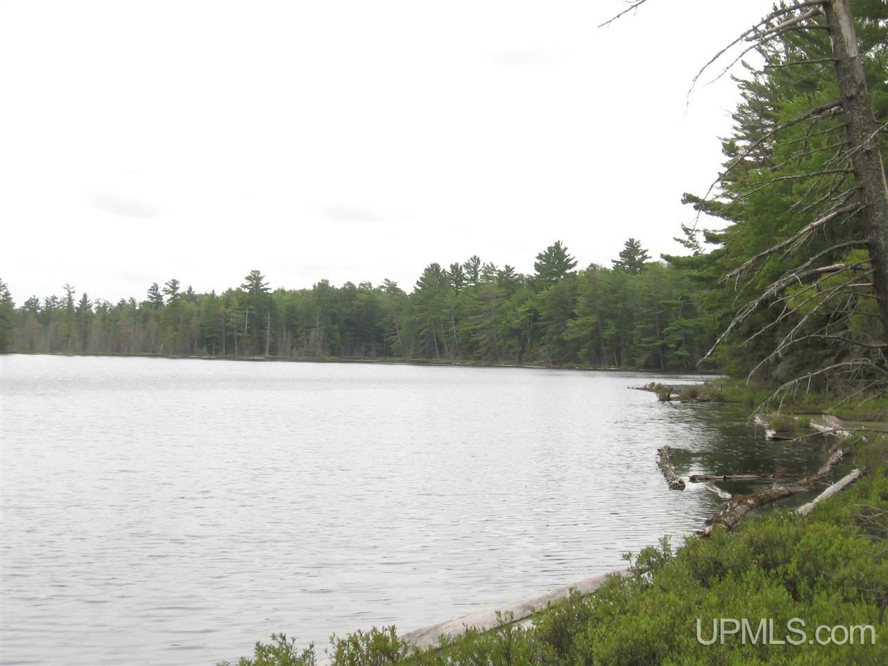 0 Rhody Cr, Unit CARTER LAKE RDP Seney, MI 49883 - Photo 30 of 36