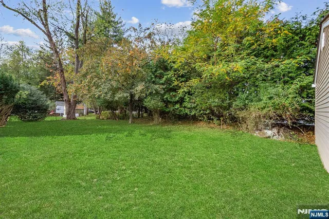 a view of green field