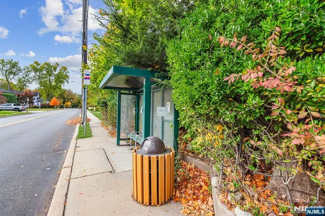 a view of a street with potted plants and large trees
