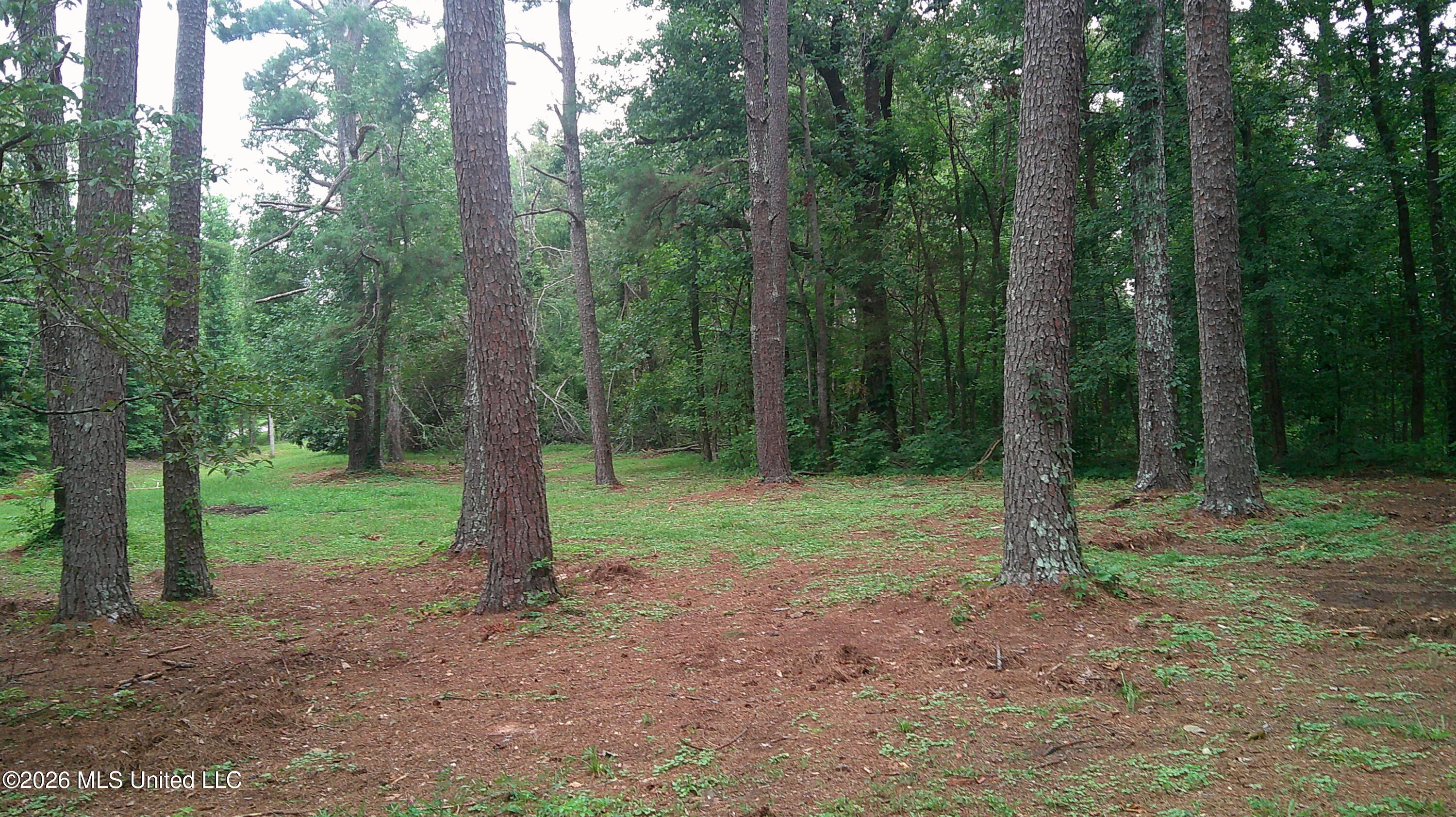 4580 County Road 701 Ripley, MS 38663 - Photo 6 of 30 DSCF0498