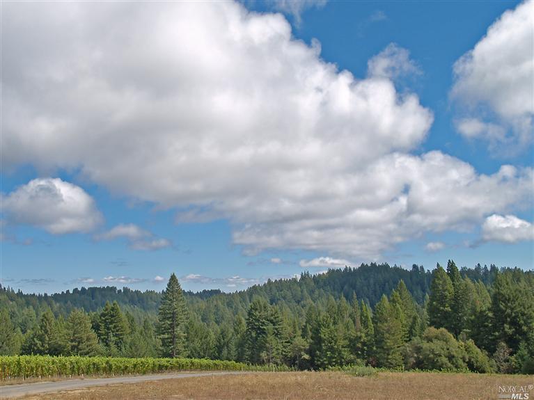 3250 Freeman Ranch Way Occidental, CA 95465 - Photo 1 of 1 Vista east from the top of the smaller parcel.