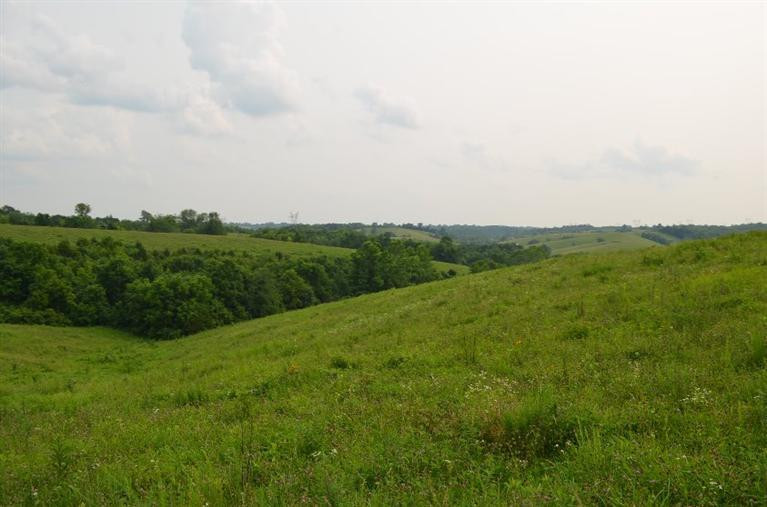 3162 Deep Creek Road Perryville, KY 40468 - Photo 14 of 21 Photo 14