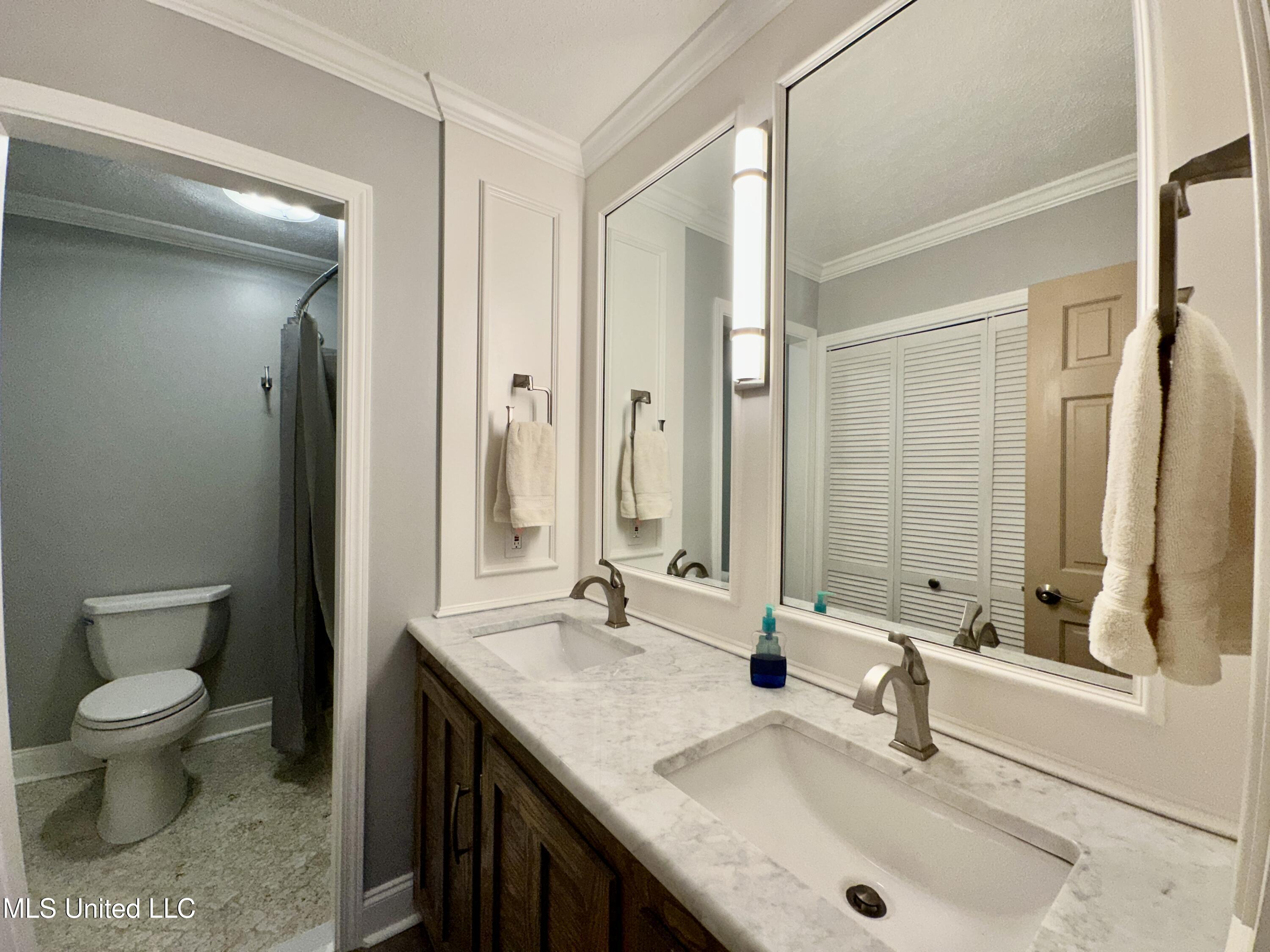 307 Longwood Drive Clinton, MS 39056 - Photo 20 of 27 GUEST BATH