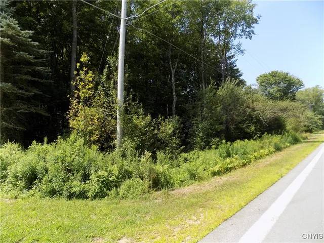 $59,900 | Cr-65, Constantia, NY 13028