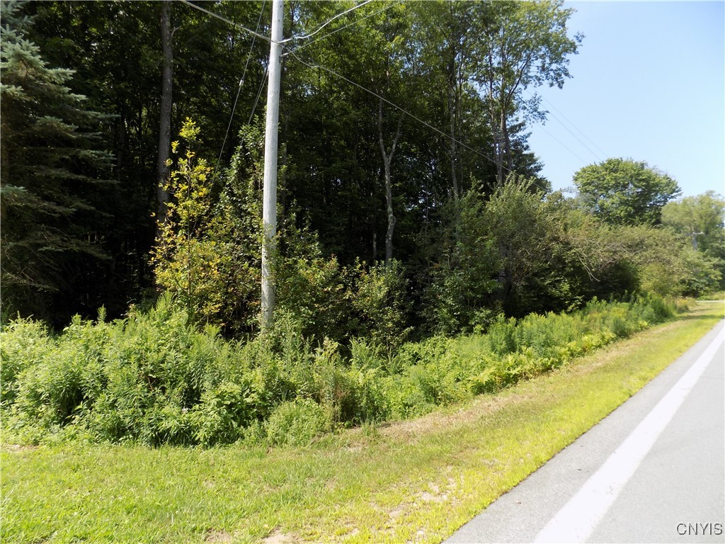 Cr-65 Constantia, NY 13028 - Photo 2 of 7 Front left