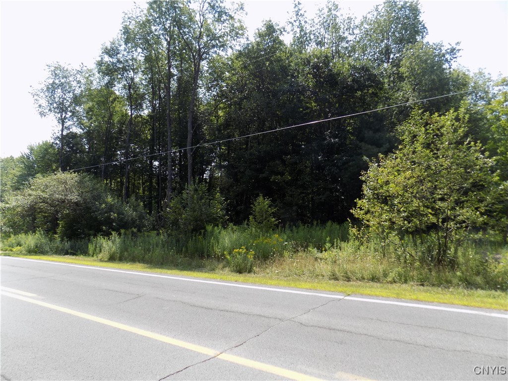 Cr-65 Constantia, NY 13028 - Photo 3 of 7 Road front from right side of the rd.