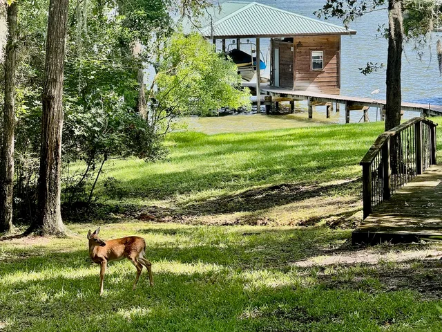 $725,000 | 20404 Doral Drive, Point Blank, TX 77364