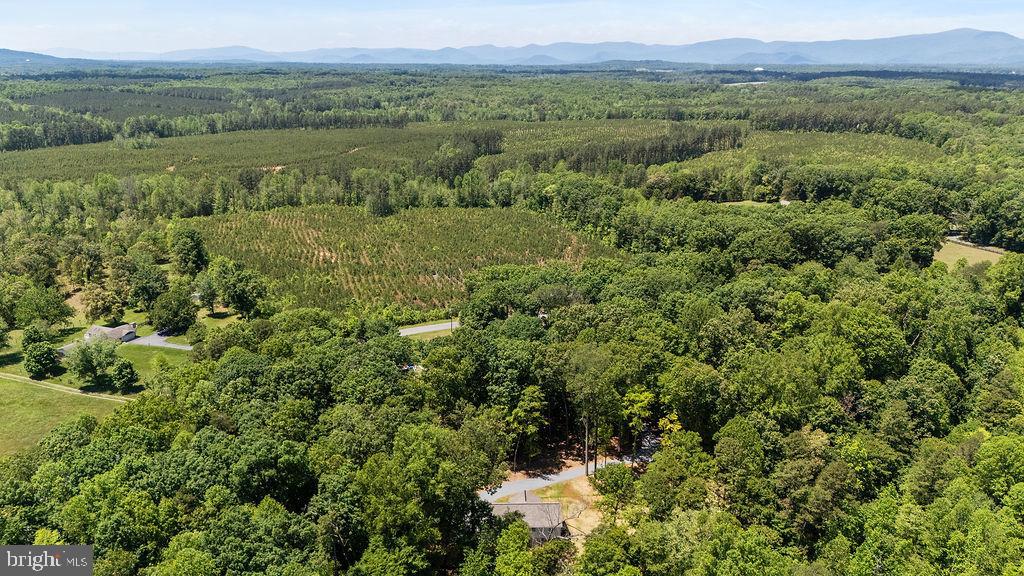 12121 Albano Road Barboursville, VA 22923 - Photo 42 of 67