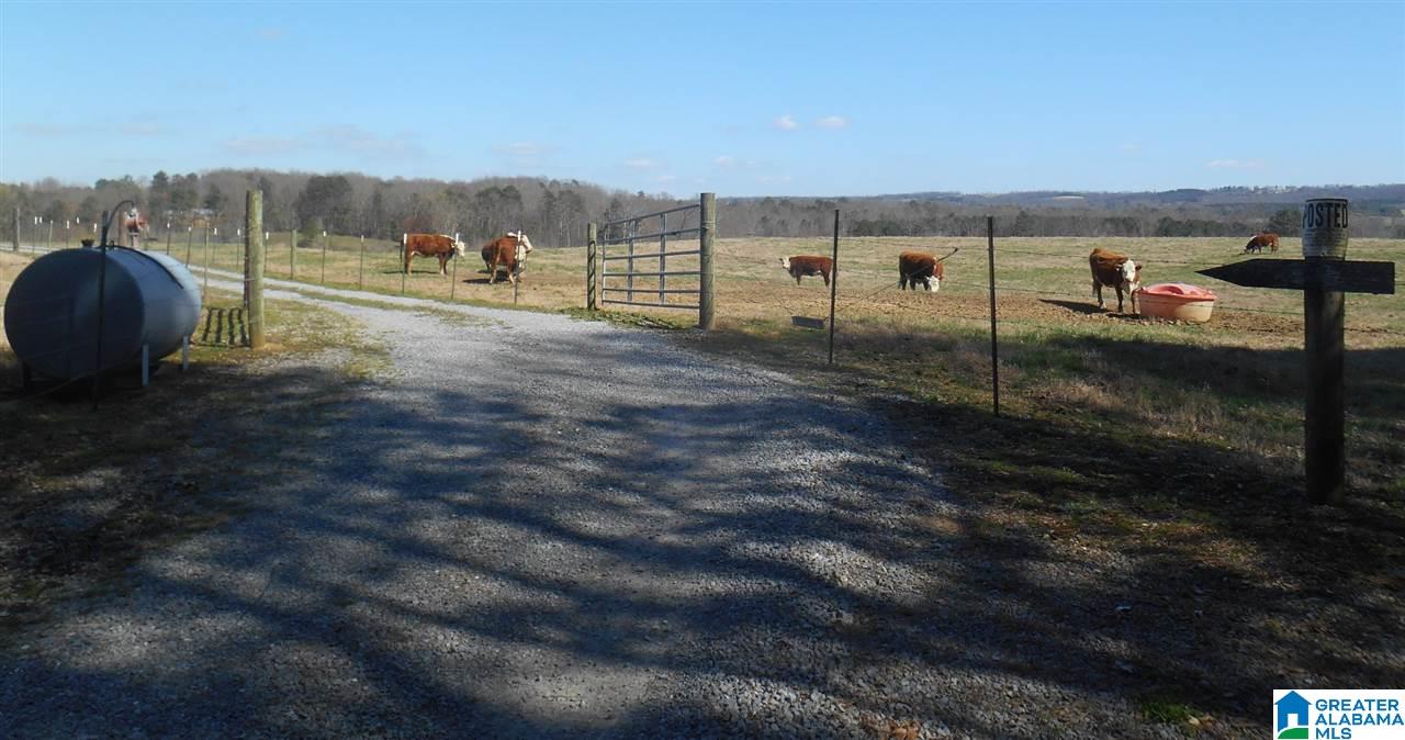 1099 Dailey Road, Unit 1 Altoona, AL 35952 - Photo 16 of 17