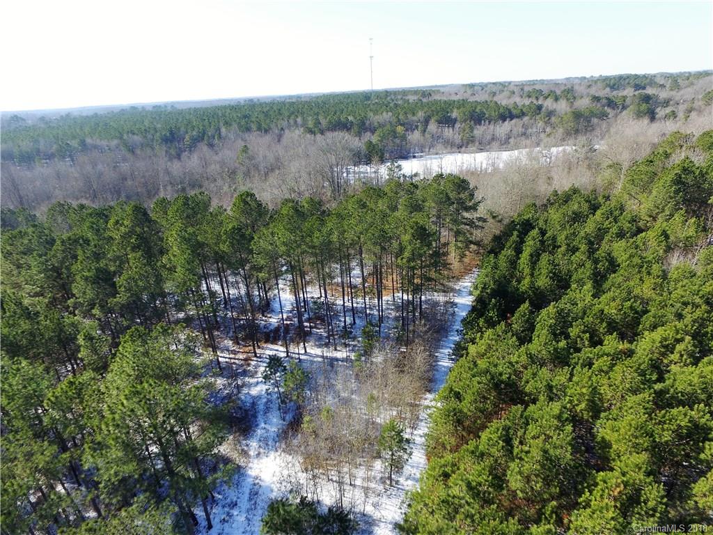 0 Ratliff Gin Road Morven, NC 28119 - Photo 1 of 10