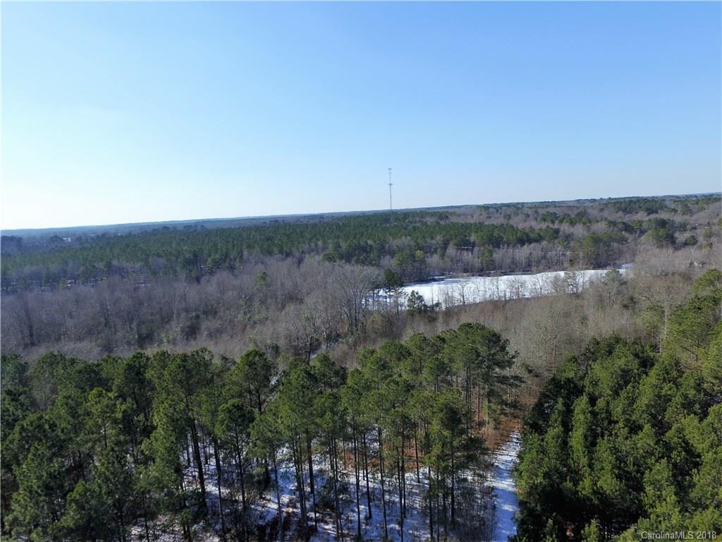 0 Ratliff Gin Road Morven, NC 28119 - Photo 2 of 10