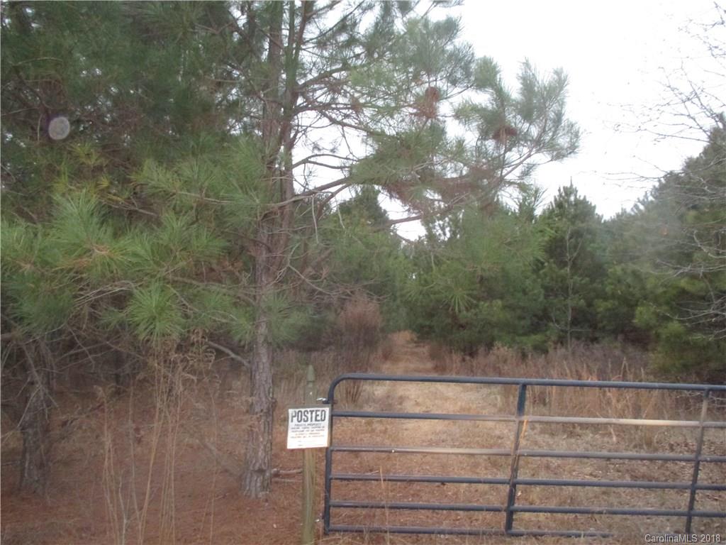 0 Ratliff Gin Road Morven, NC 28119 - Photo 3 of 10