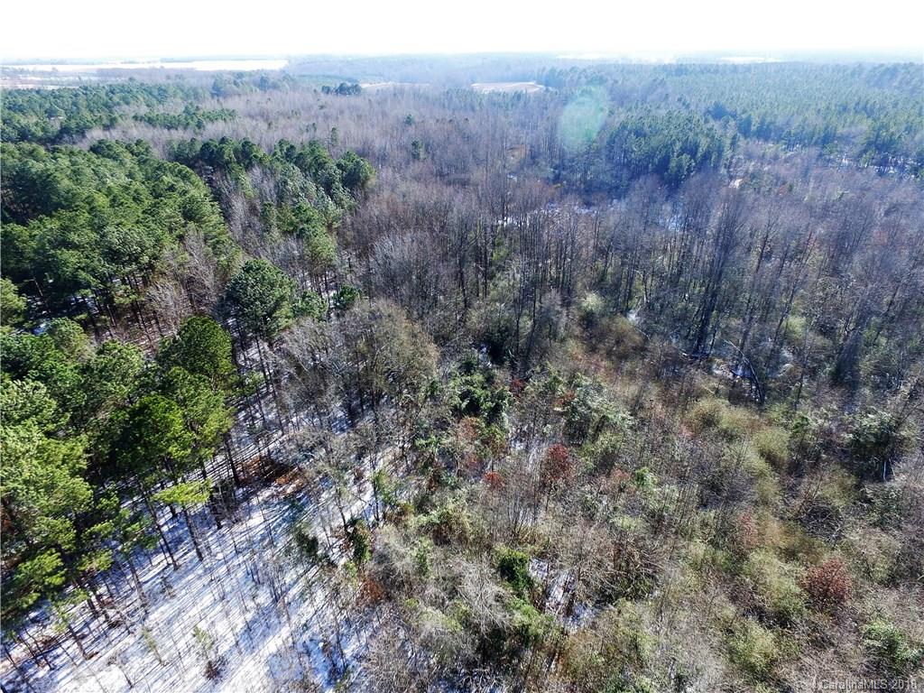 0 Ratliff Gin Road Morven, NC 28119 - Photo 7 of 10