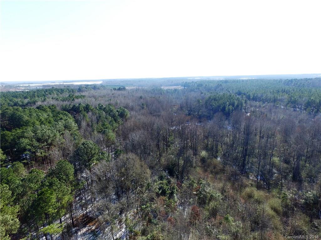 0 Ratliff Gin Road Morven, NC 28119 - Photo 8 of 10