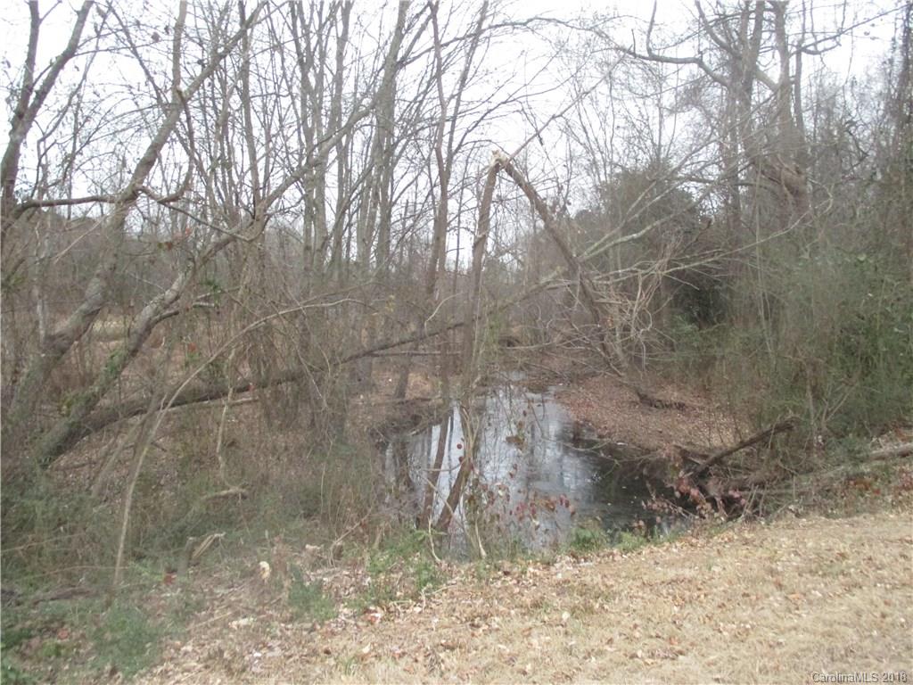 0 Ratliff Gin Road Morven, NC 28119 - Photo 9 of 10