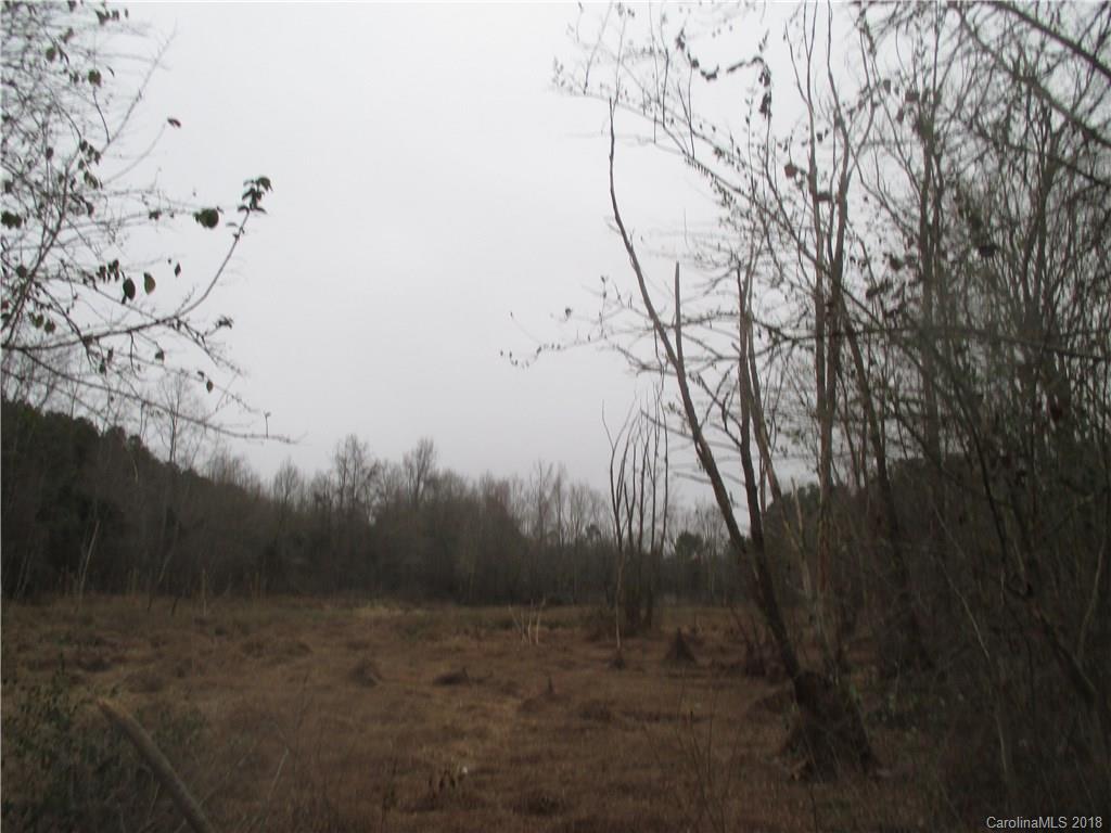 0 Ratliff Gin Road Morven, NC 28119 - Photo 10 of 10