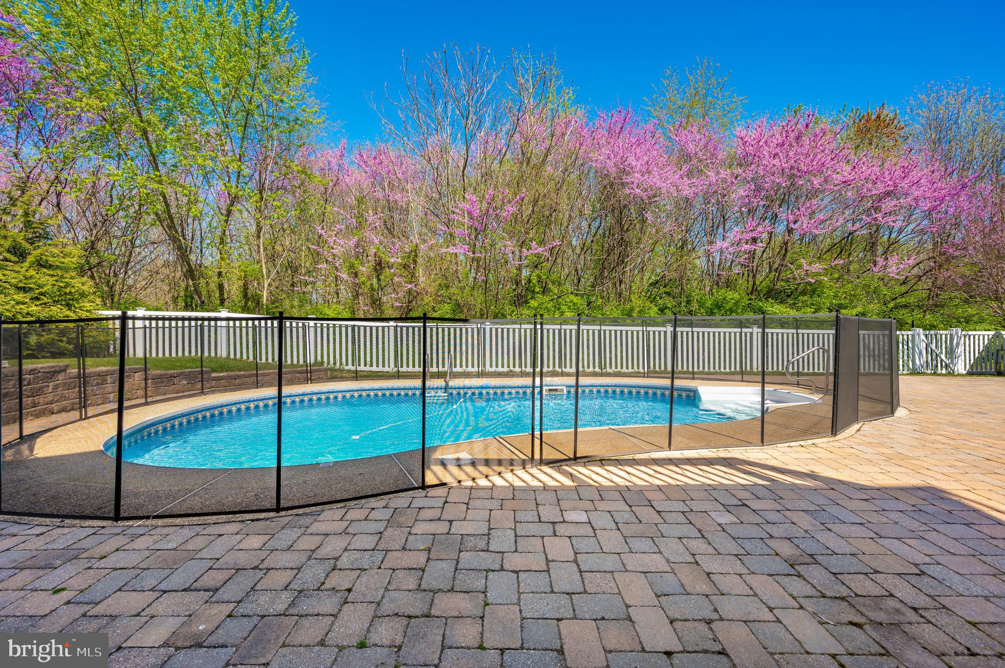 447 Delaware Road Frederick, MD 21701 - Photo 41 of 52 Fencing around salt water pool