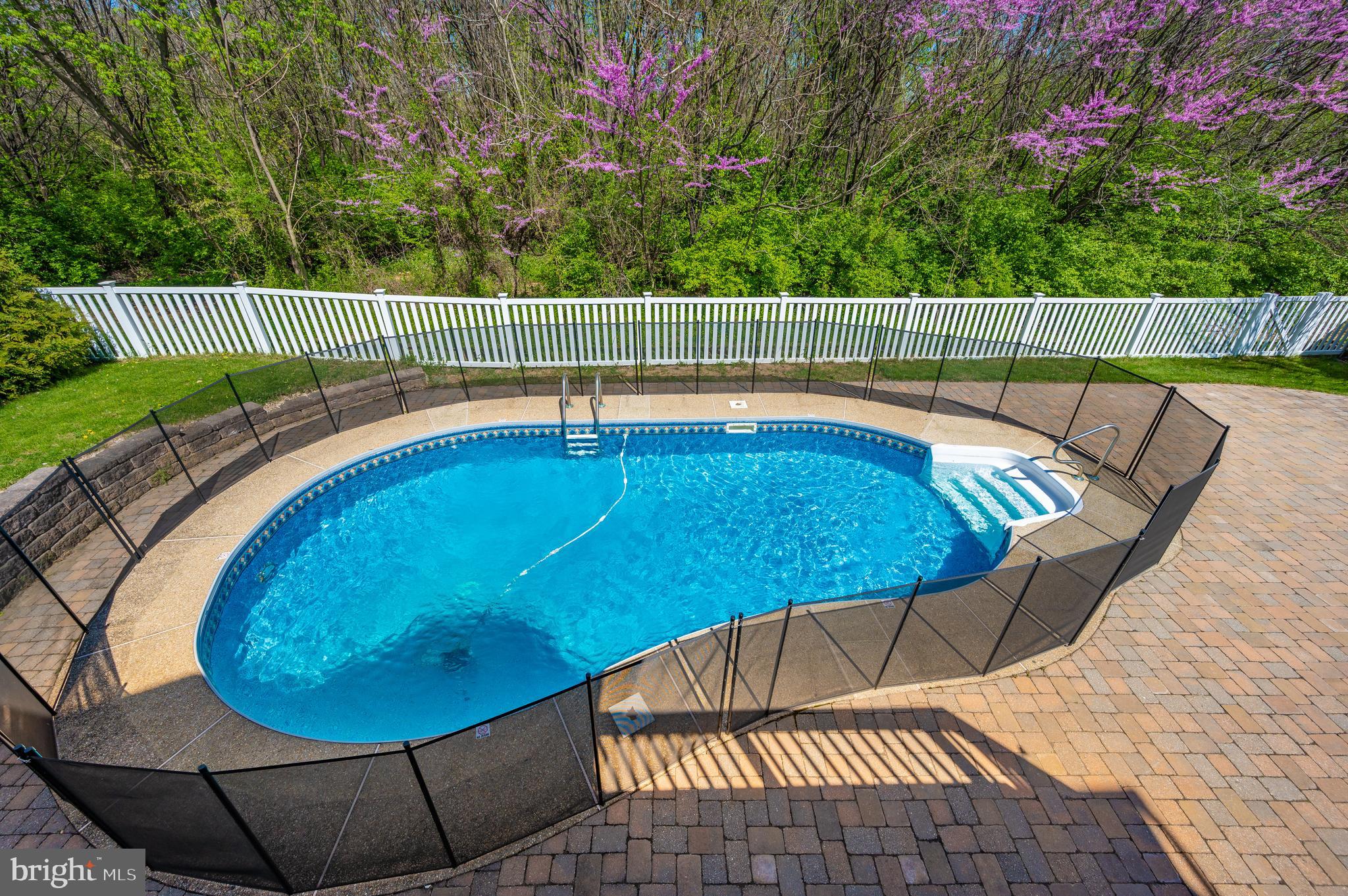 447 Delaware Road Frederick, MD 21701 - Photo 45 of 52 Saltwater Pool