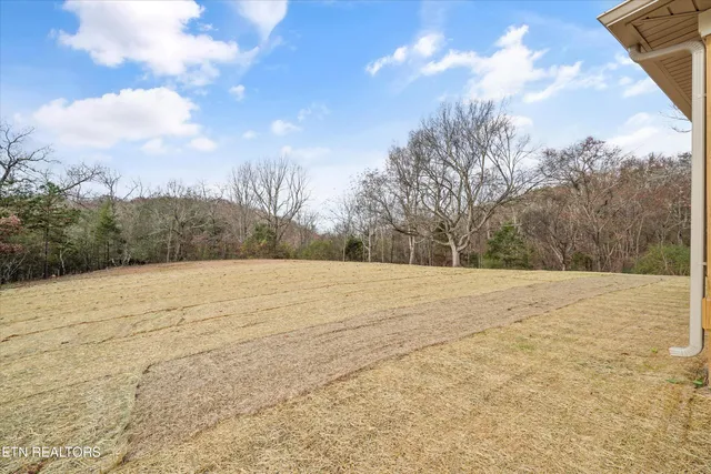 $589,900 | 205 Duval Street, Niota, TN 37826