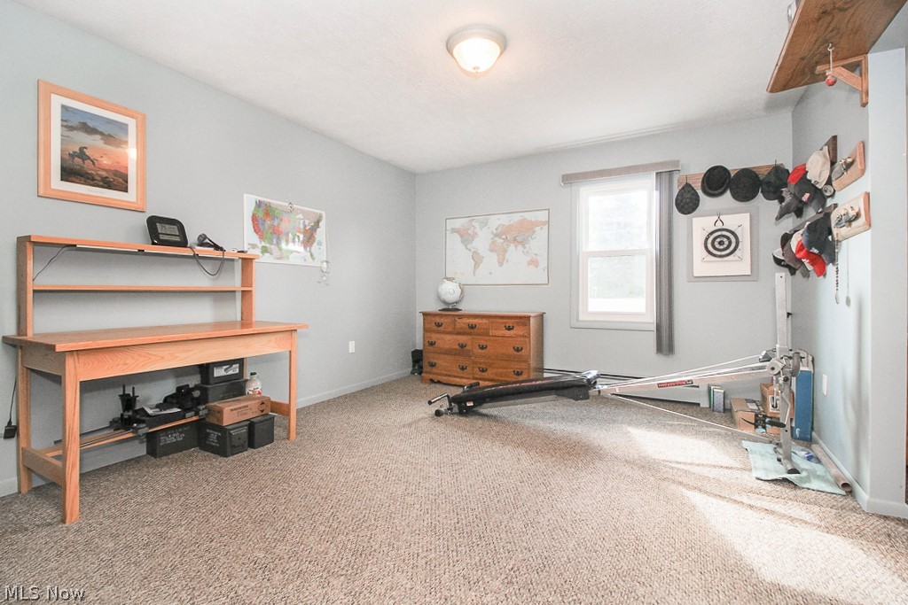 20591 Foster Road Wellington, OH 44090 - Photo 27 of 34 Gallery Image 27
