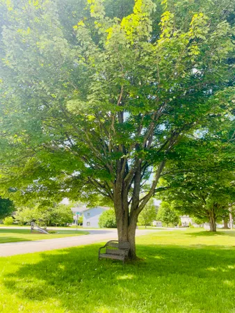 $275,000 | 315 Jackson Street, Newport, VT 05855