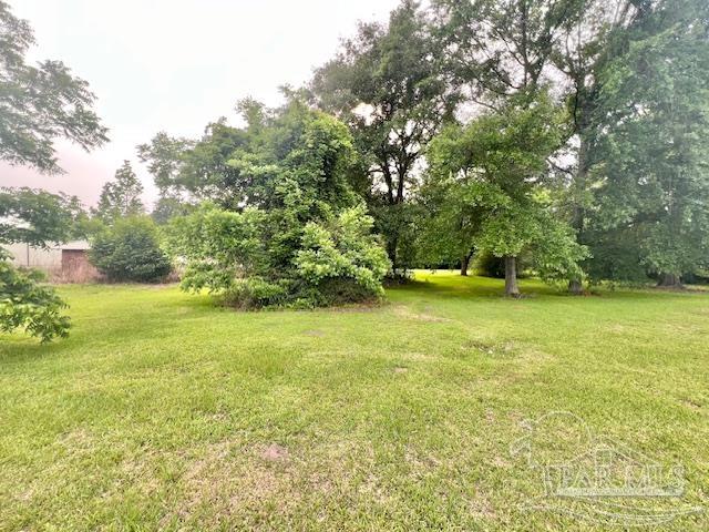 623 North Main Street Atmore, AL 36502 - Photo 5 of 18