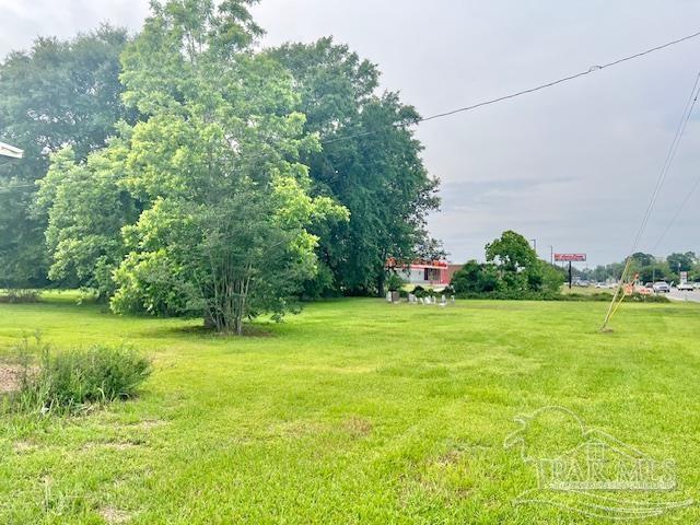 623 North Main Street Atmore, AL 36502 - Photo 7 of 18