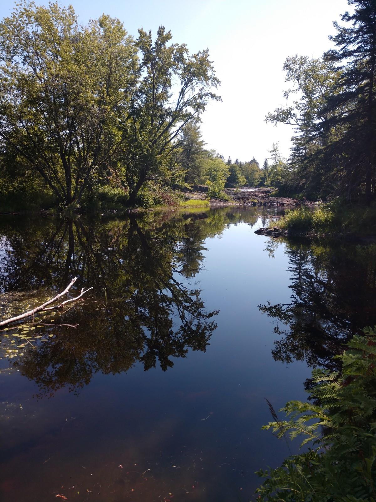 Off Off 2000th Road Wytopitlock, ME 04497 - Photo 18 of 36 IMG_20190806_103200287