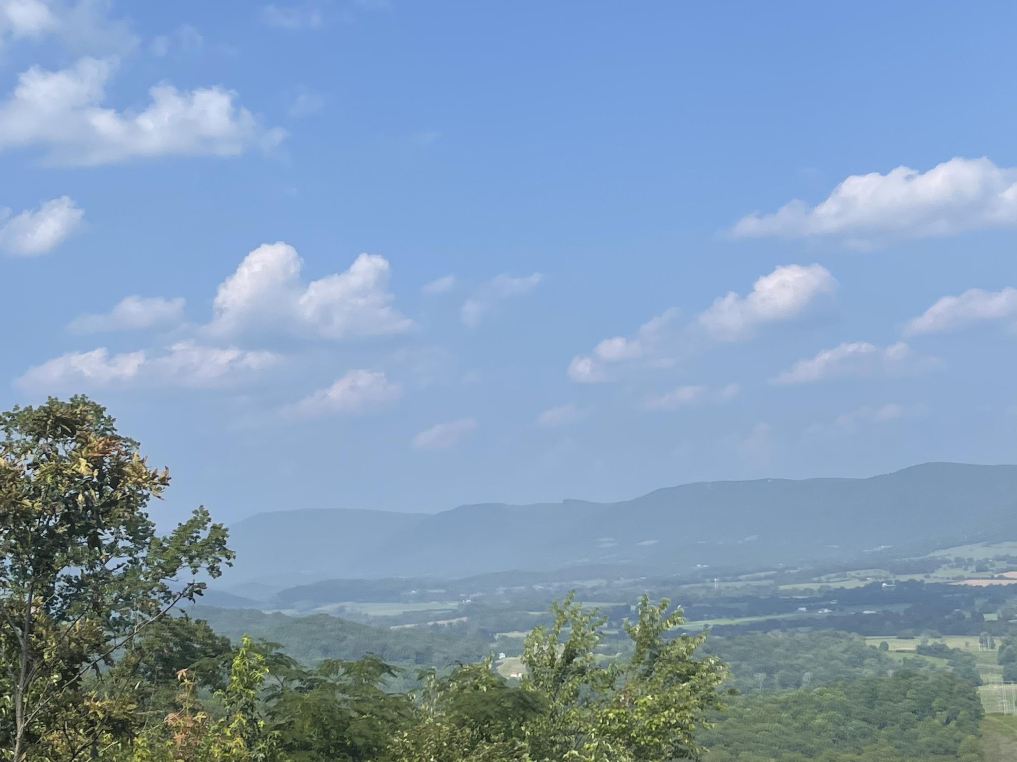 0 Big Spring Gap Road Crossville, TN 38572 - Photo 7 of 10