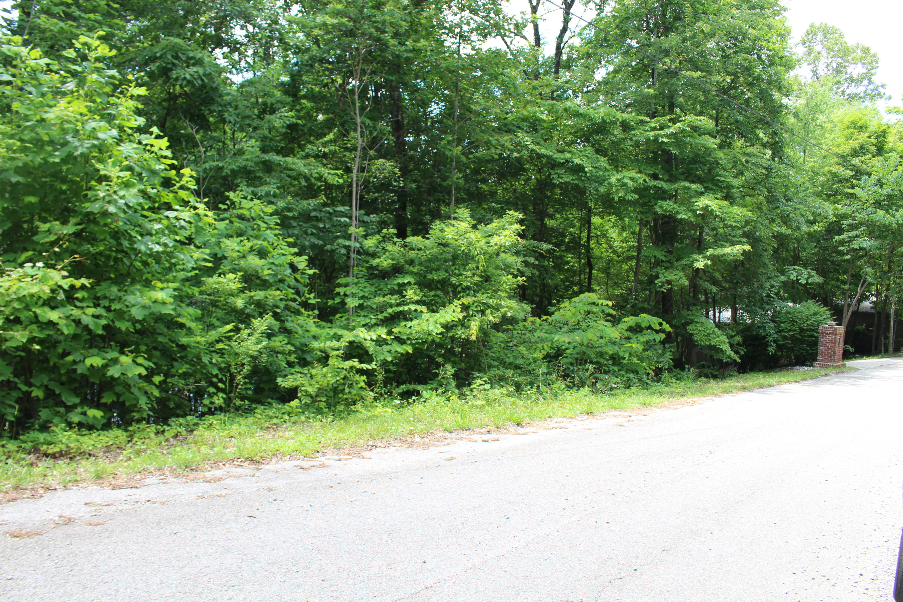 Lot 6 East Norris Point Road La Follette, TN 37766 - Photo 2 of 10 IMG_8195
