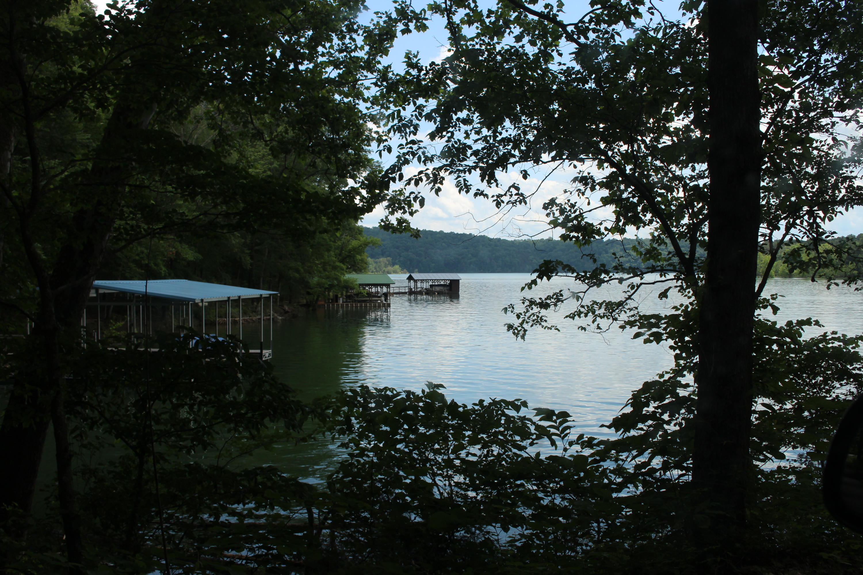 Lot 6 East Norris Point Road La Follette, TN 37766 - Photo 4 of 10 IMG_8202