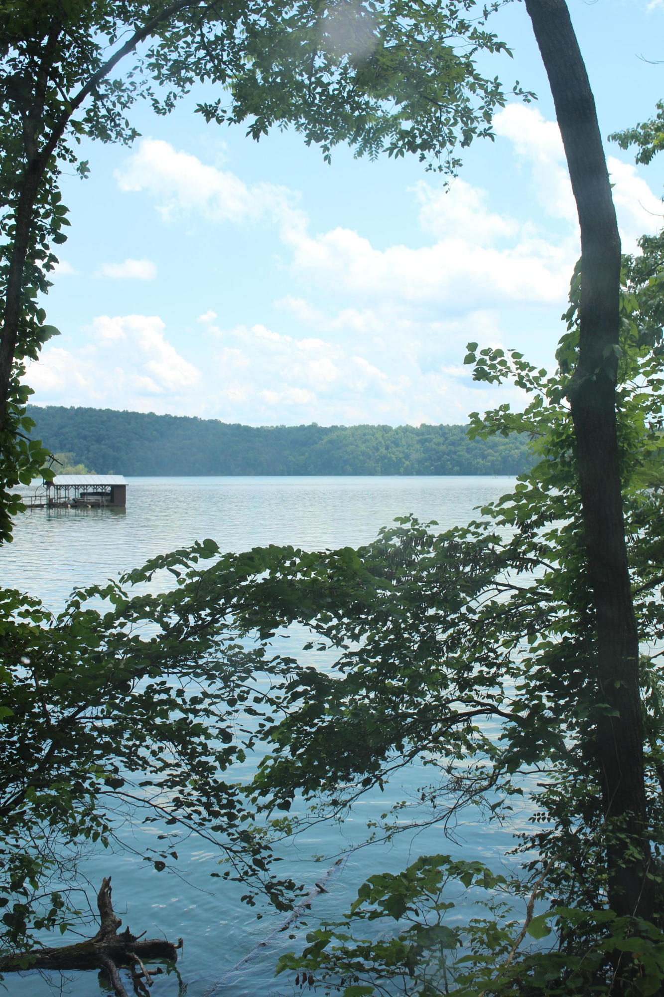 Lot 6 East Norris Point Road La Follette, TN 37766 - Photo 5 of 10 IMG_8203