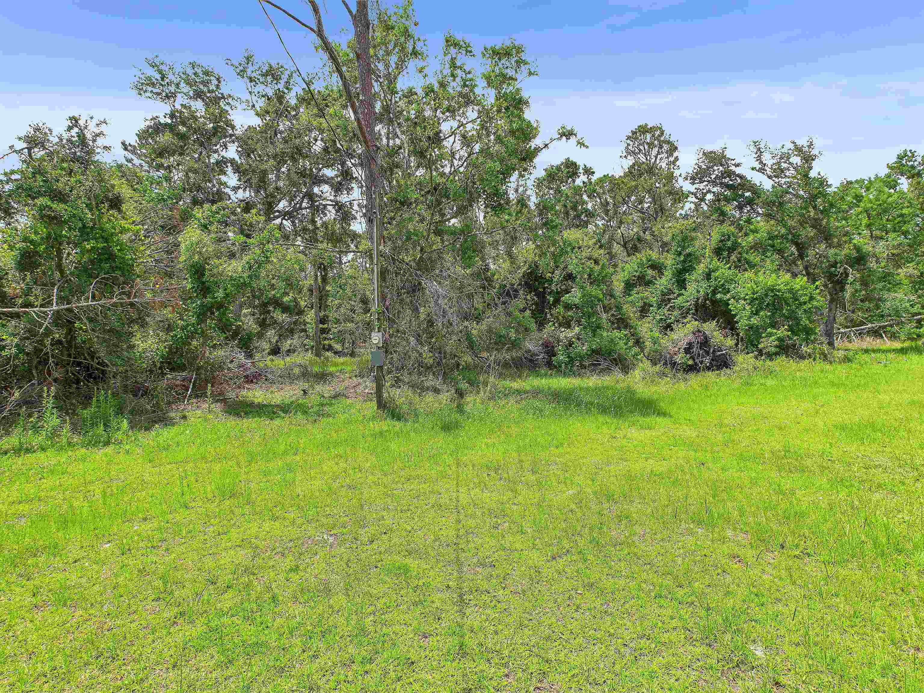 0 Beach Road Perry, FL 32348 - Photo 8 of 15 Gallery Image 8