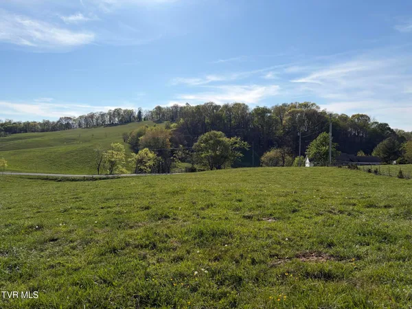 $49,900 | Lot 4 Ward Rowe Road, Unit 4R, Limestone, TN 37681