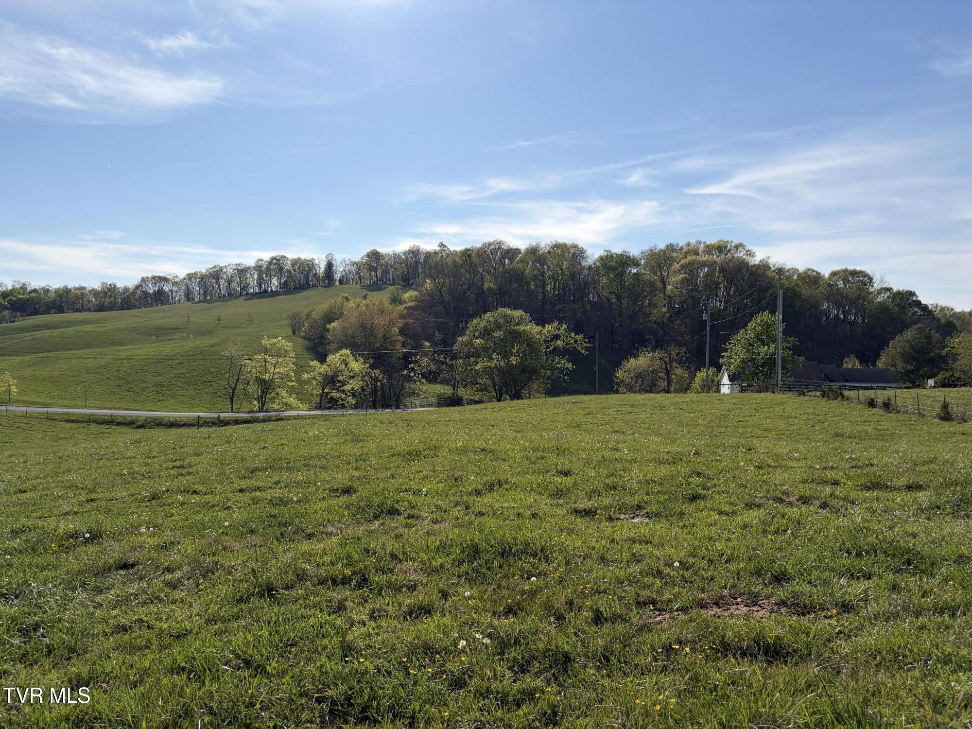 Lot 4 Ward Rowe Road, Unit 4R Limestone, TN 37681 - Photo 6 of 6 IMG_3947