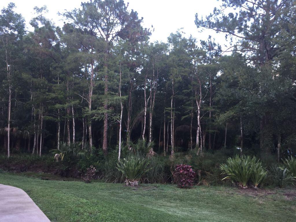 13047 42nd Road North Royal Palm Beach, FL 33411 - Photo 31 of 34 42ndRdNproperty